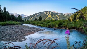Un río serpentea a través de un paisaje montañoso con bosques densos y un cielo despejado.