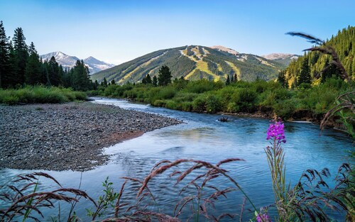 West Lake Lodge Hotel Style Room with 2 Beds  #404C by RedAwning