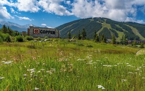 Experience the serene beauty of the mountains at Copper, surrounded by lush greenery and wildflowers.