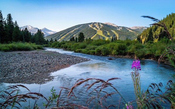 Escape to a serene river valley surrounded by lush greenery and majestic mountains.
