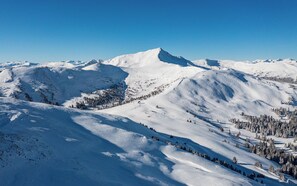 Experience breathtaking mountain scenery with evergreen forests and rugged peaks.