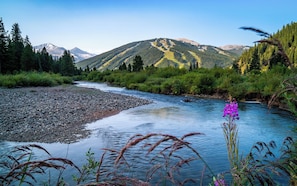 Surrounded by lush greenery and coniferous trees, this serene river flows gently through the mountains.