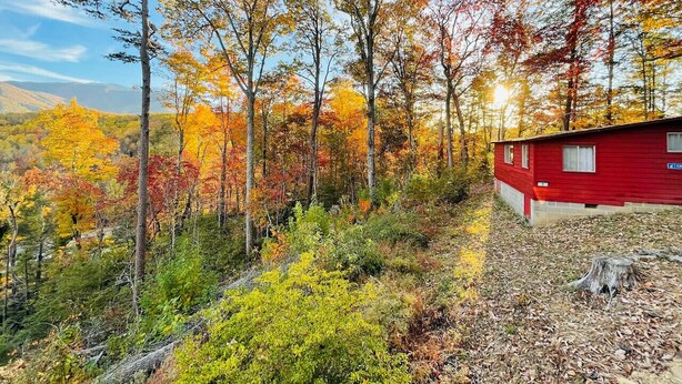 A cabin in a forest with autumn foliage. - Romantic Cabin, Mnt View, Perfect Location❤️ (Gatlinburg)