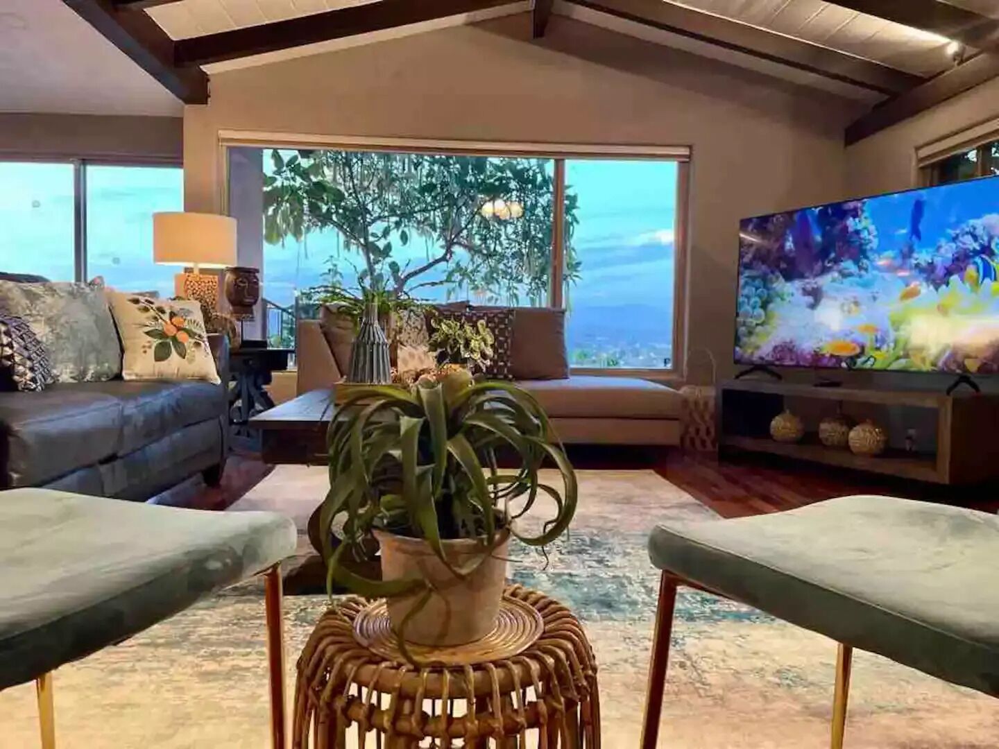 Smart-TV, peis, fotballspill og bordtennis