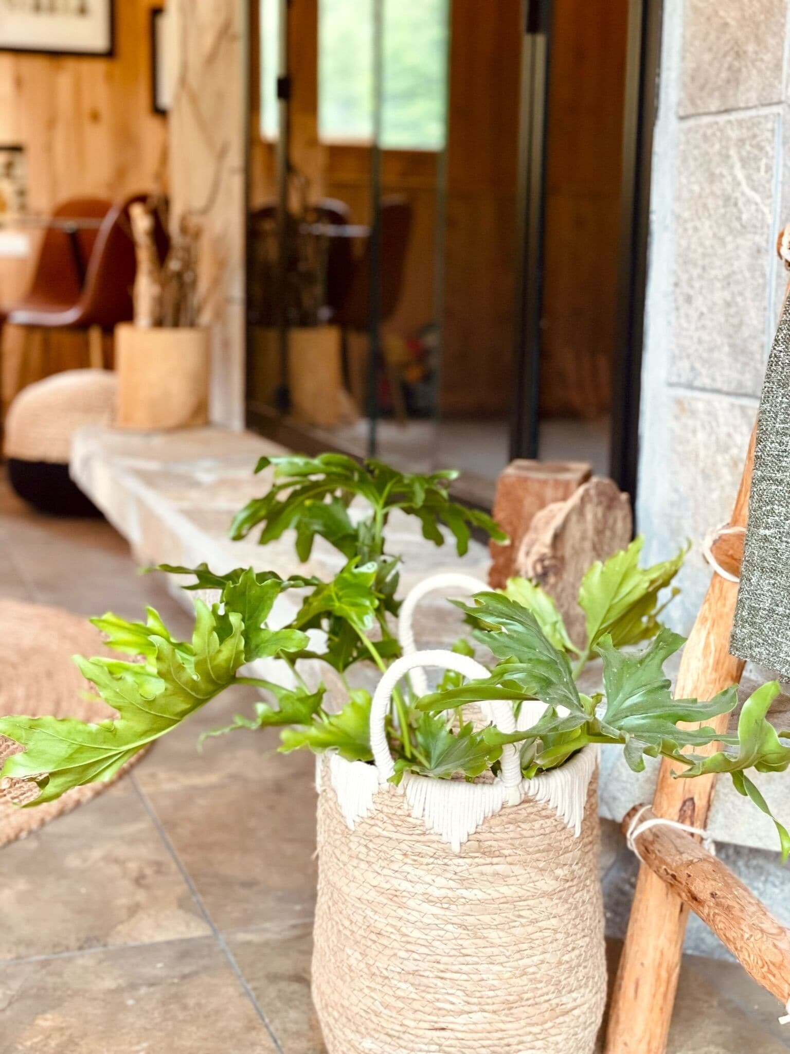 A rustic interior with a woven basket holding green leaves, a wooden bench, and a stone wall.