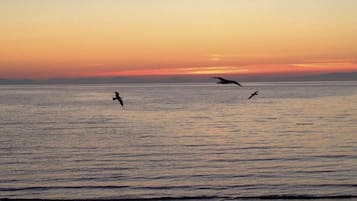 A la platja