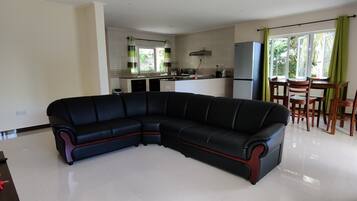 Fernseher