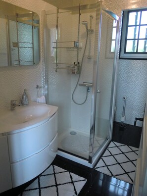 Shower, hair dryer, towels, soap