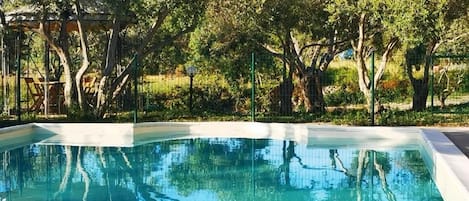 Seasonal outdoor pool, open 8:00 AM to 8:00 PM, pool loungers