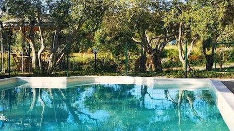 Seasonal outdoor pool, open 8:00 AM to 8:00 PM, sun loungers