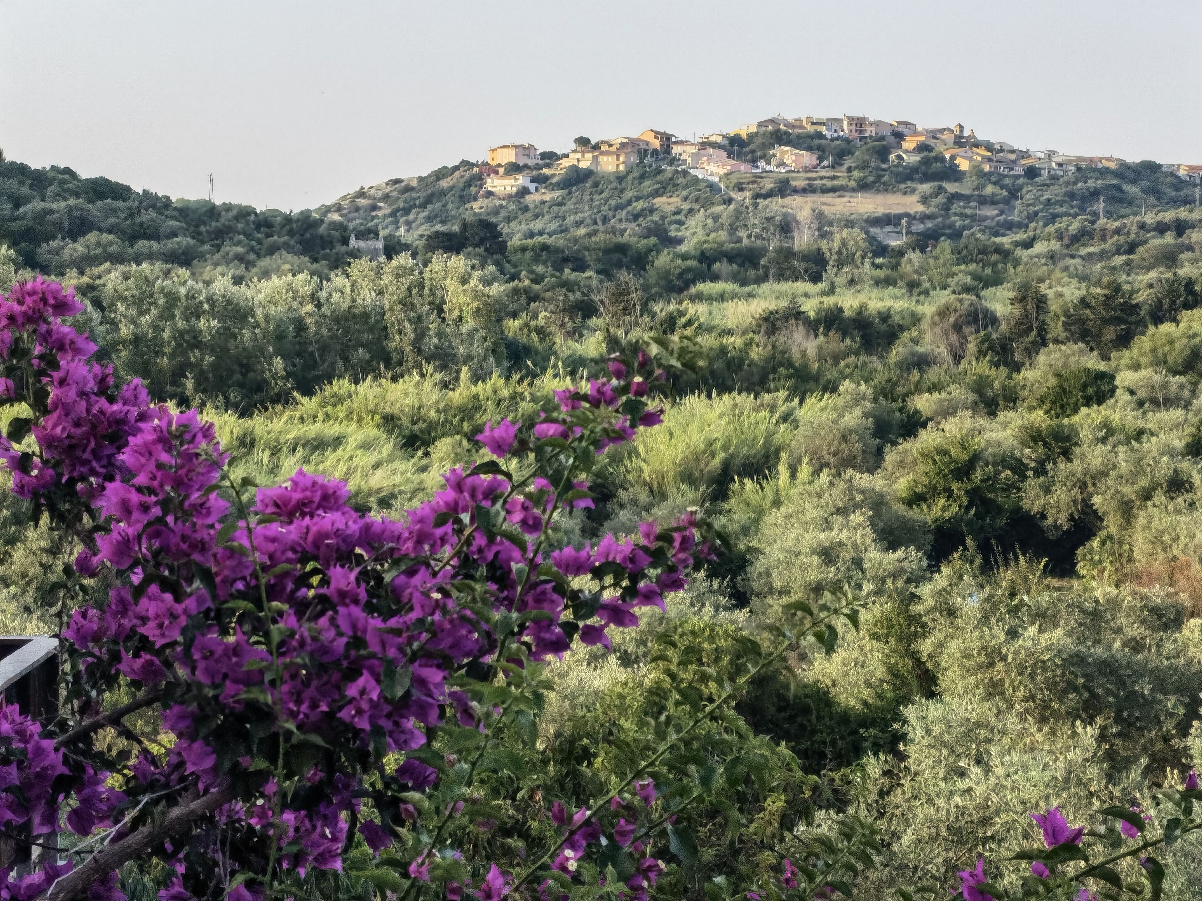 Foto - La Corte degli Ulivi - Albergo Rurale