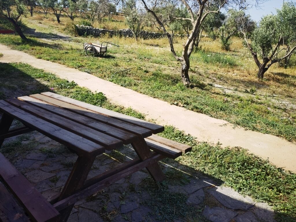 Familienzimmer | Terrasse/Patio