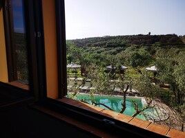 Vista desde la habitación