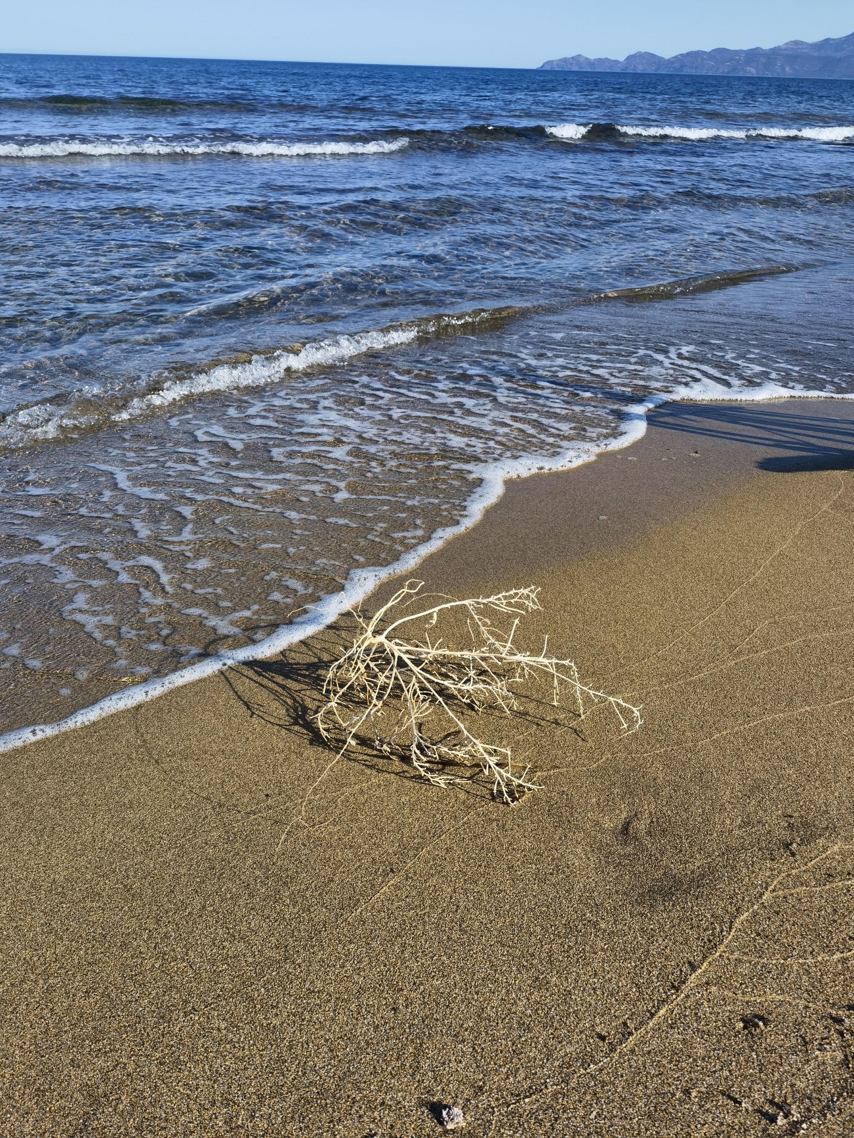 Foto - La Corte degli Ulivi - Albergo Rurale