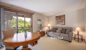 Smart TV, fireplace, video games