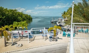 Property grounds - Oasis by the Sea. Key Largo Getaway. (Key Largo)