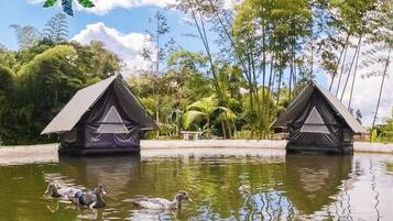 Design Tent | 4 bedrooms, bed sheets