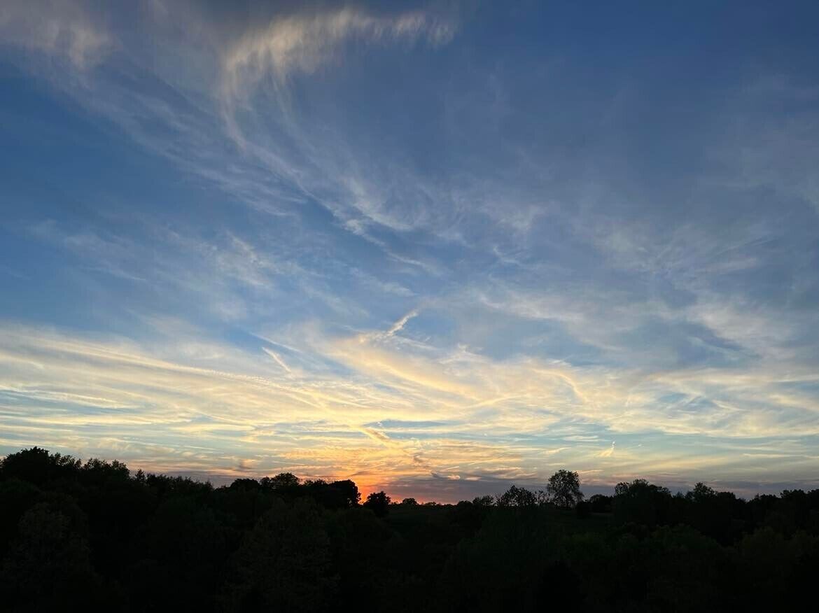 A sunset over a forested landscape.