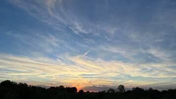 A sunset over a forested landscape.