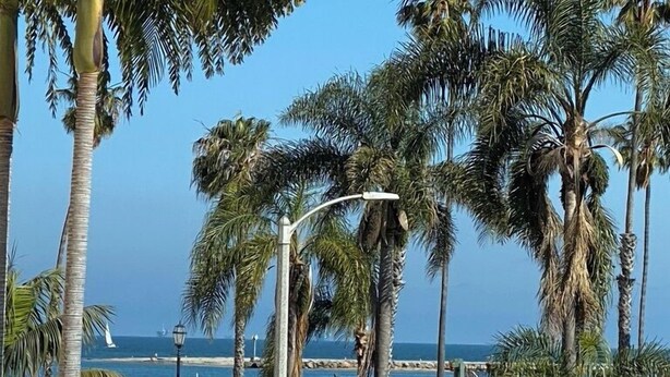 A beachside street lined with palm trees and a stop sign. - Tide Pool Villas (Santa Barbara)