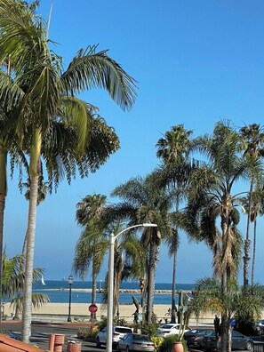 A beachside street lined with palm trees and a stop sign. - Tide Pool Villas (Santa Barbara)