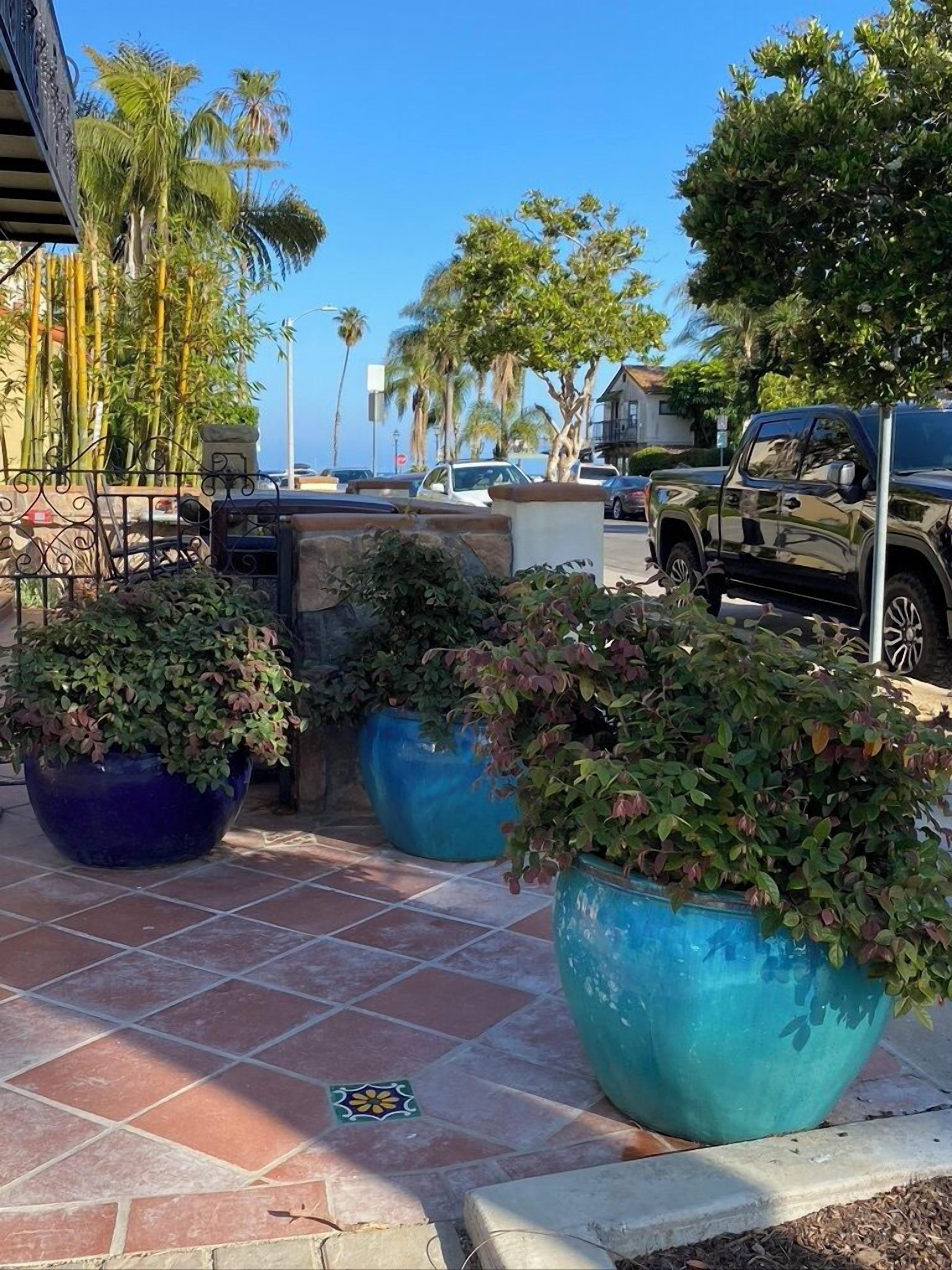 Terras