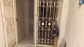 Um pátio com piso de azulejos e portão de metal.