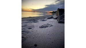 A beach with footprints leading to the water, a pier in the background, and a cloudy sky. - Navarre+Beach, Pet Friendly + Kayak & paddle boards + BBQ grill.  (Navarre)