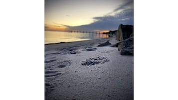 In Strandnähe, Liegestühle, Strandtücher