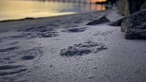 A beach with footprints leading to the water, a pier in the background, and a cloudy sky.