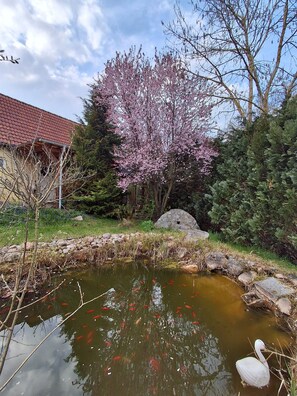 Un estanque con peces koi, un cisne y un árbol en flor.