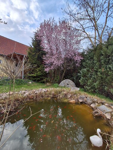 Ferienhaus in Idyllischer Dorfrandlage