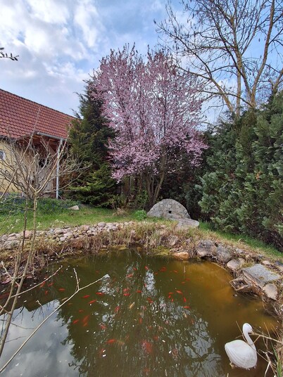 Ferienhaus in Idyllischer Dorfrandlage