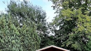 A wooden cabin with a swimming pool, surrounded by dense trees. - Ferienhaus in Idyllischer Dorfrandlage (Gülzow-Prüzen)