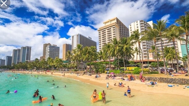 Uma praia com pessoas nadando e surfando, palmeiras e edifícios altos ao fundo.