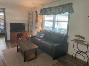 Una televisión, un reproductor de DVD, libros