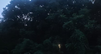 Carnbee Cozy Cottage