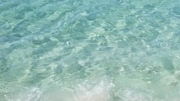 A beach with clear shallow water and a sandy shore. - 4-Person Condo only a short walk to beach. (Destin)