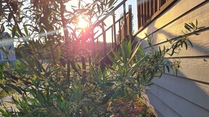 Ein Garten mit Pflanzen und einem Holzzaun.