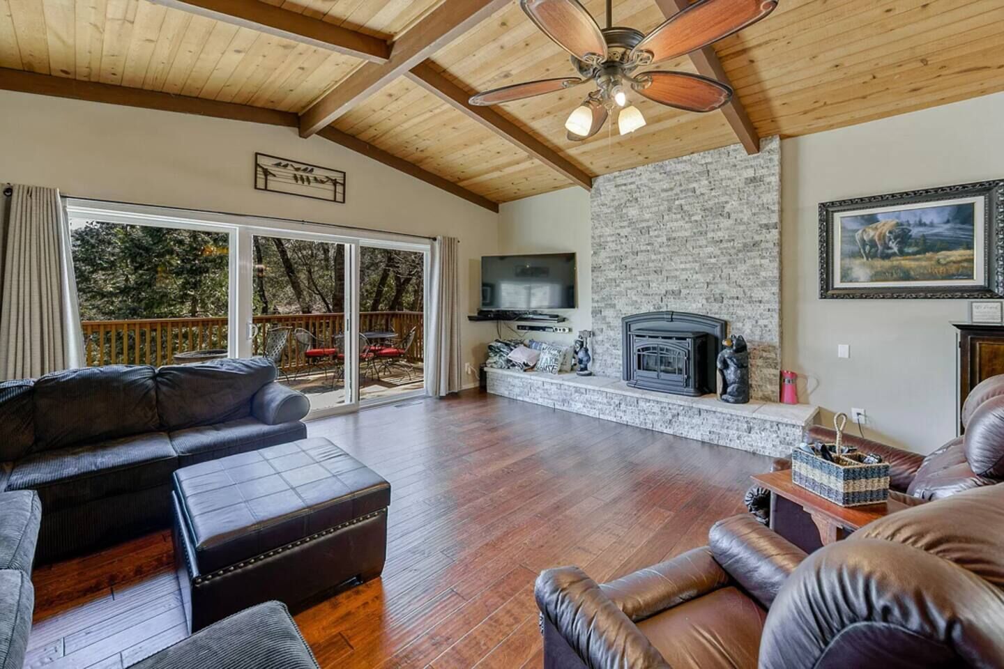 Smart TV, fireplace, books, stereo