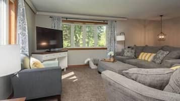 Fernseher, Kamin, DVD-Player