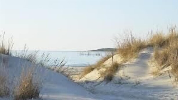 Een zandstrand met duinen en een helder uitzicht op de zee.