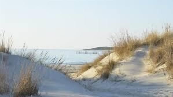 Botó d’imatge sense classificar, 1 de 33