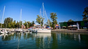 A marina with several sailboats docked, surrounded by trees and a building with outdoor seating.