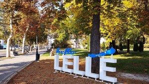A park with a 'hello' sign and a 'BALATONELLE' sign.