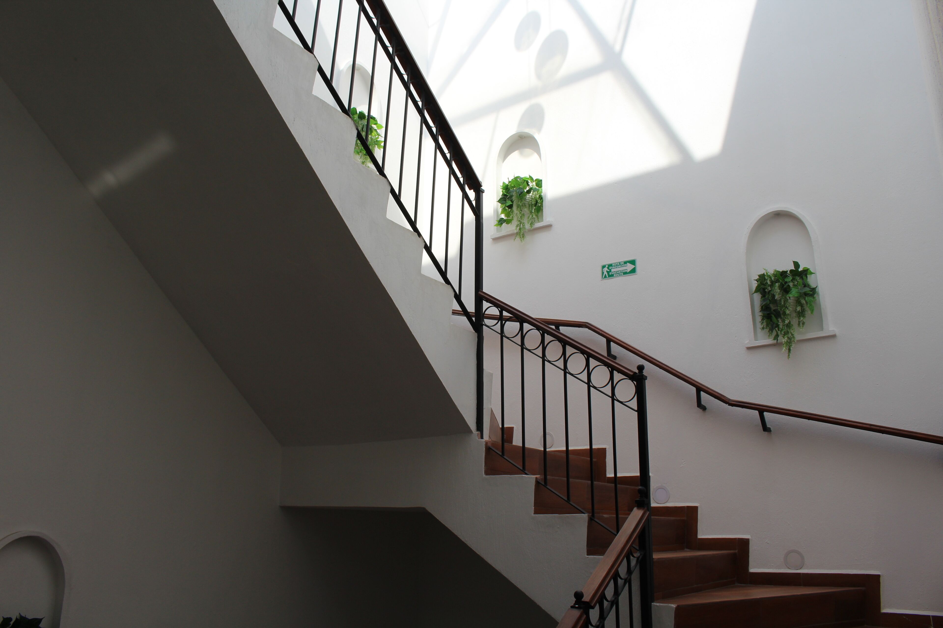 A staircase with wooden steps and black metal railings, flanked by white walls and small windows with green plants.