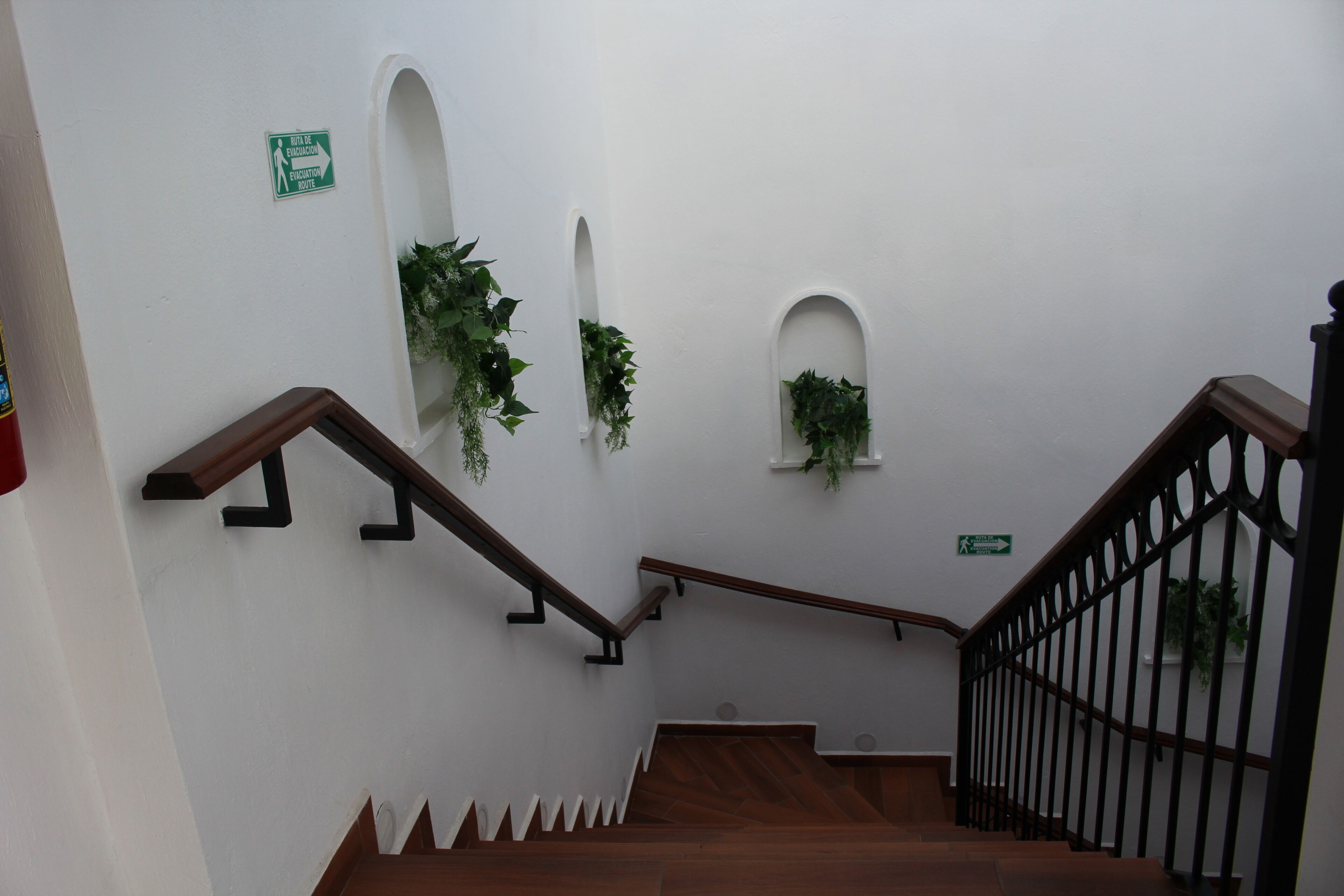 Una escalera con escalones de madera y barandillas negras, paredes blancas y plantas en huecos decorativos.