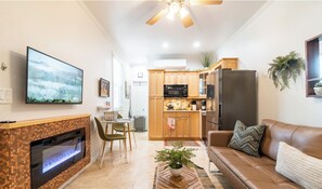 Smart TV, fireplace, books