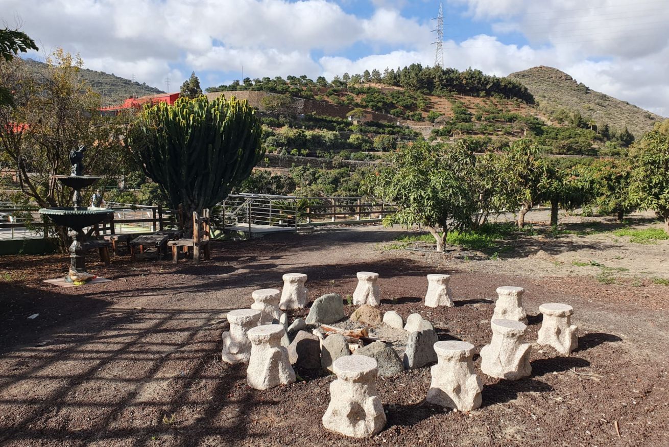 Un entorno rústico al aire libre con taburetes de piedra dispuestos en círculo, un banco de madera y una planta de cactus.
