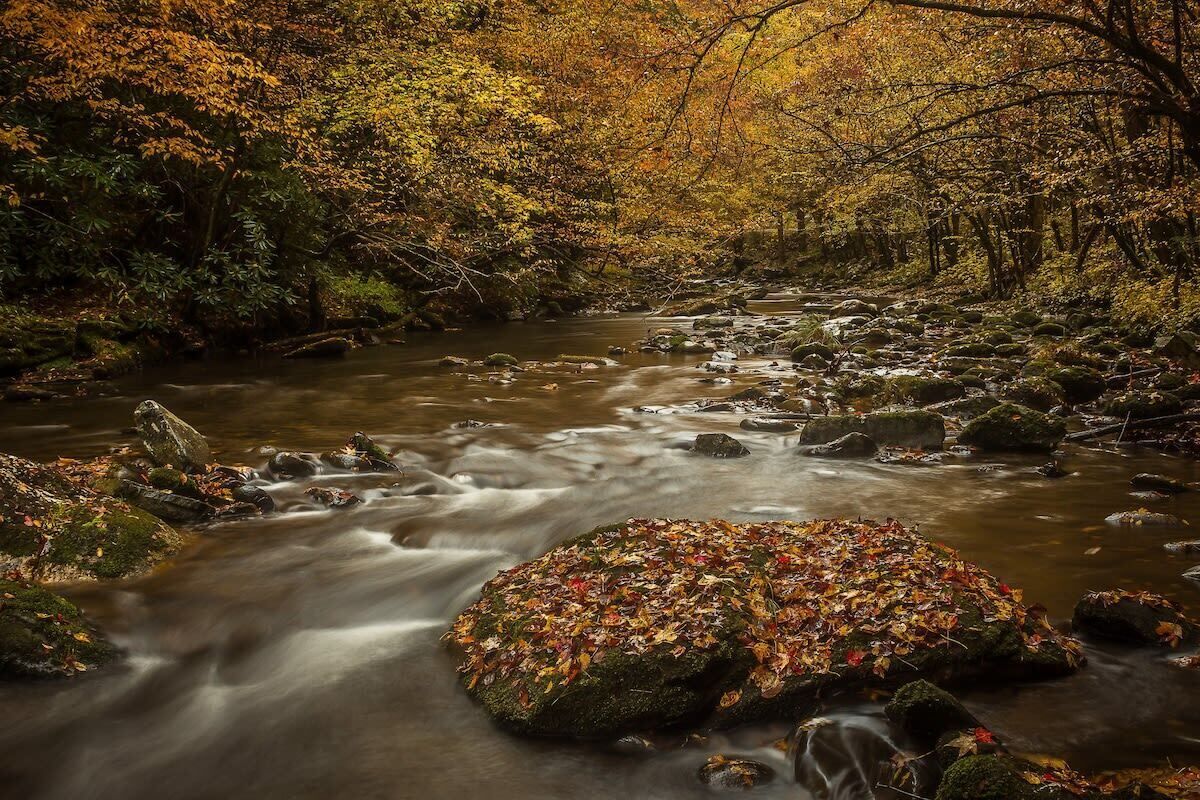 Un río que serpentea por un bosque con rocas y hojas otoñales.